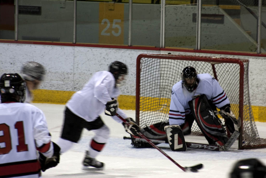 dgt_hockey (7)
